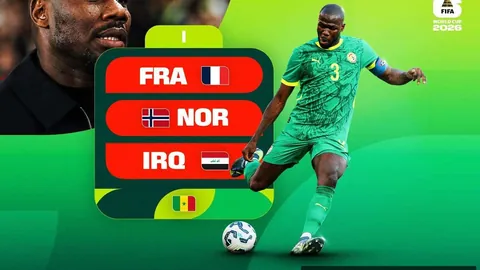 法国杯意外黑马逆袭：丁级球队1-0力克里昂卫冕冠军，足坛新浪体育焦点